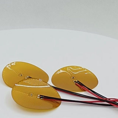 500V un Polyimide Heater Element For Industrial Multifunctional da 260 gradi