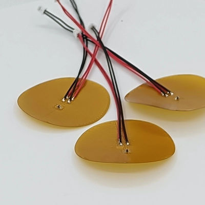 500V un Polyimide Heater Element For Industrial Multifunctional da 260 gradi